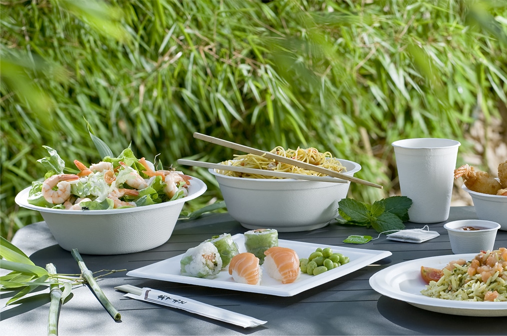 vaisselle jetable écologique bagasse canne à sucre